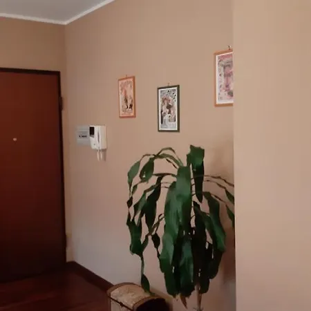 Sassi